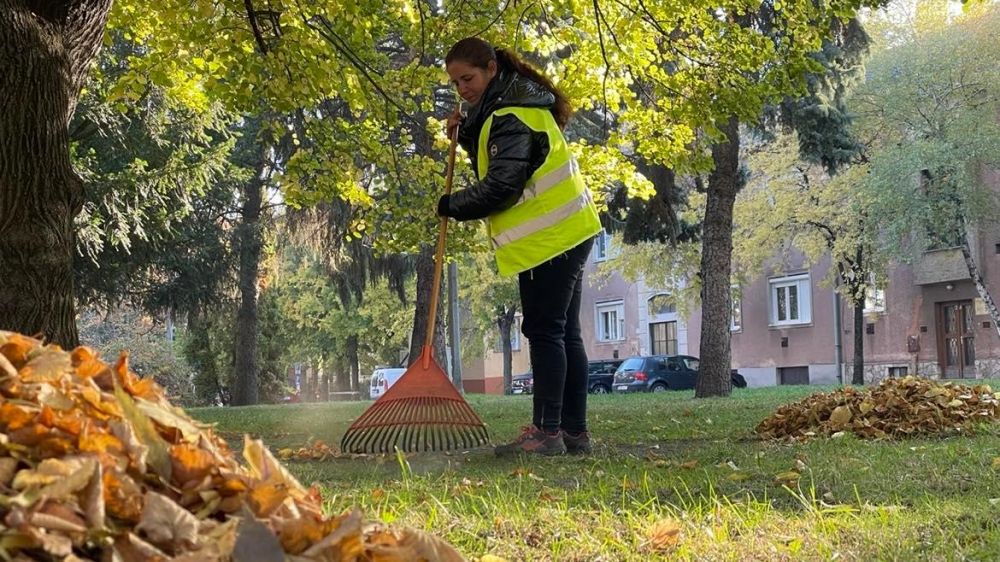Falevélgyűjtéshez zsákokat biztosít a Városgazda Zrt.