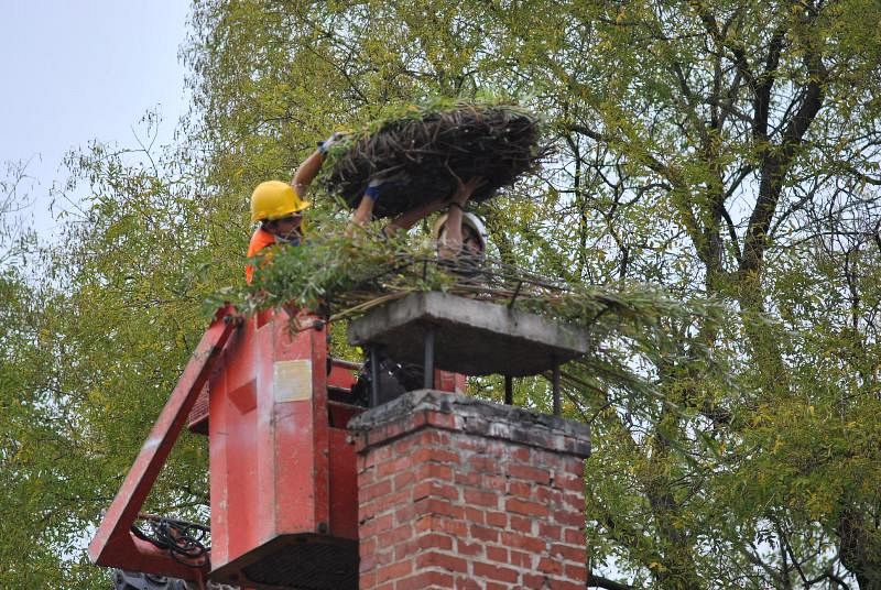 Új fészek a kéményen