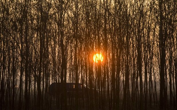 Tanyagondnoki szolgálat indul