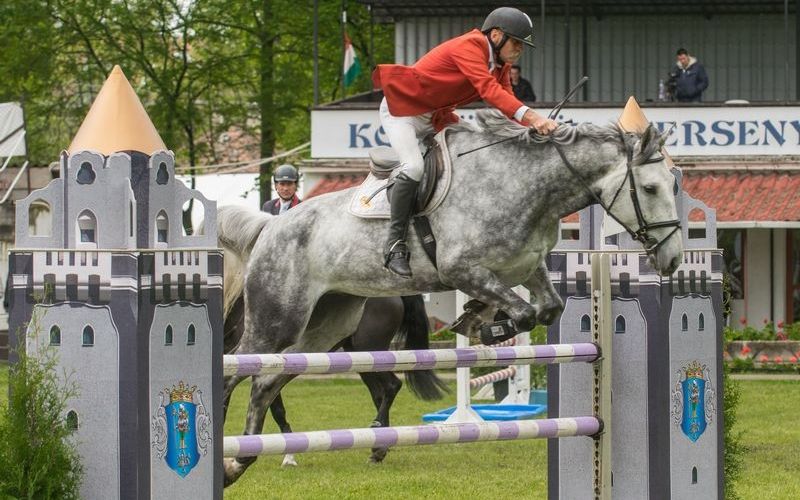 Irány a lovasverseny!