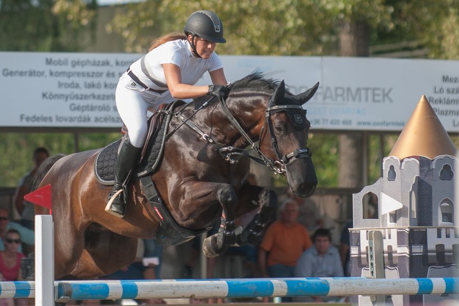 Díjugrató Grand Prix-re készül Kiskunhalas