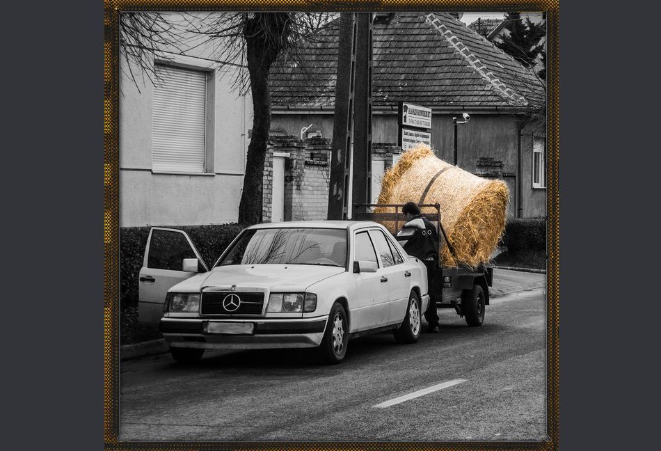 Életmód