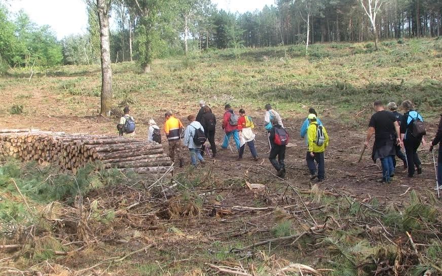 (►) Migránsoknak nézték a halasi túrázókat