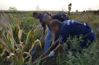 Megölte, majd elásta áldozatát a tompai férfi (frissítve)