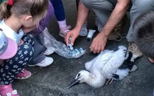 Gólyalesen az ovisokkal