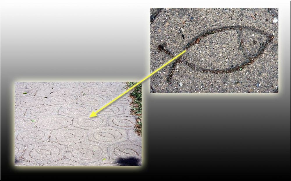 LEZÁRVA (2015.05.26.)