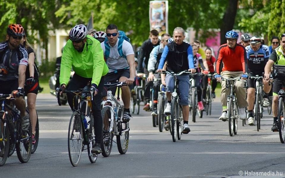 Barátsággal városunk napján