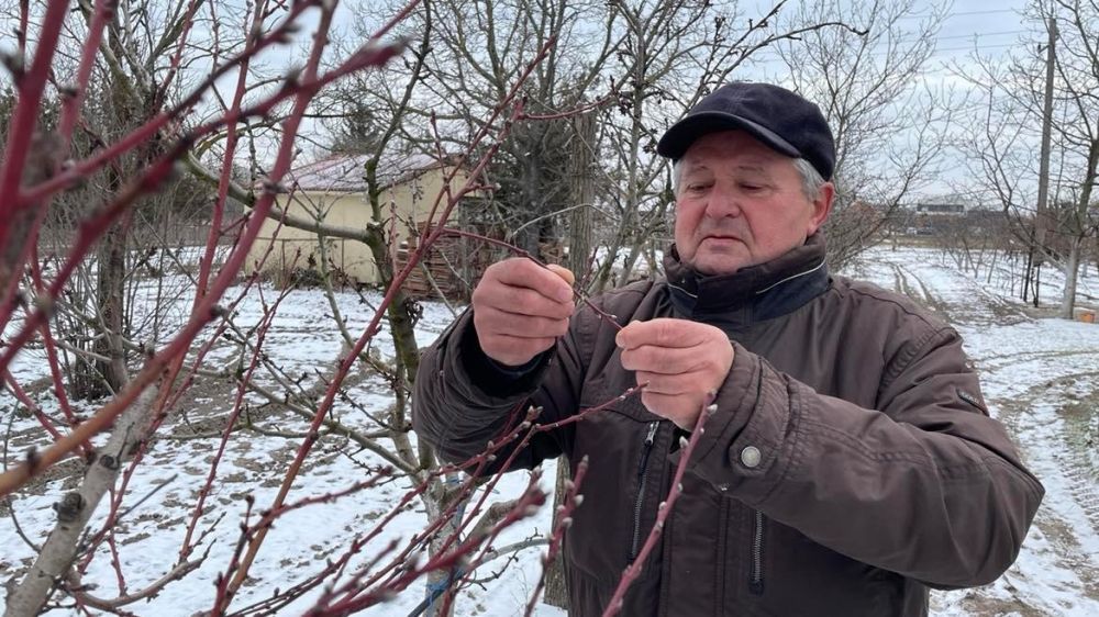 Nem tett kárt az időjárásváltozás a gyümölcsösökben