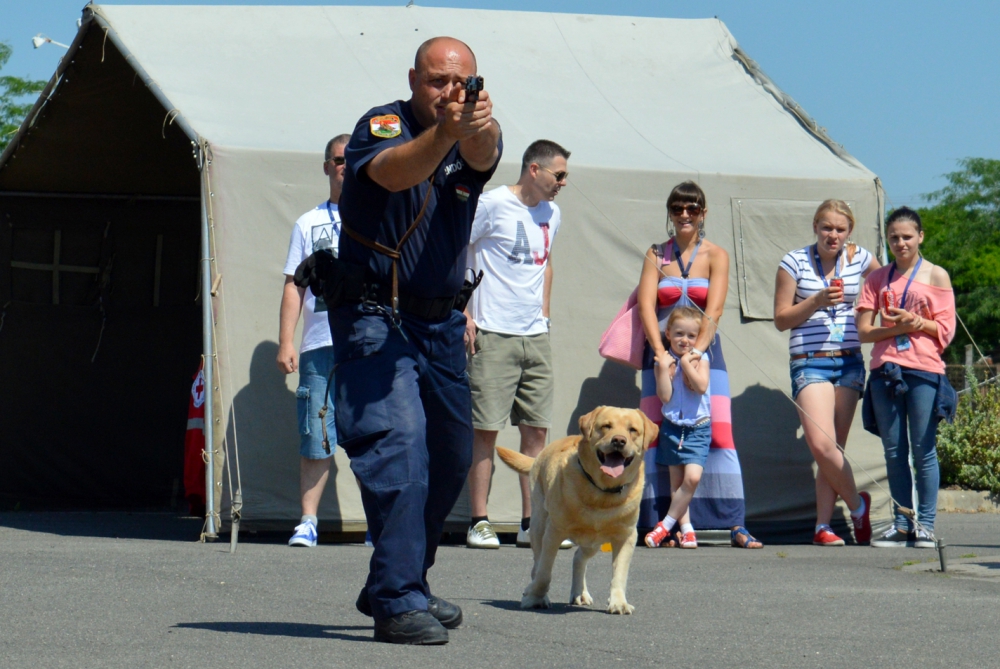 Hektor nyugdíjba vonult