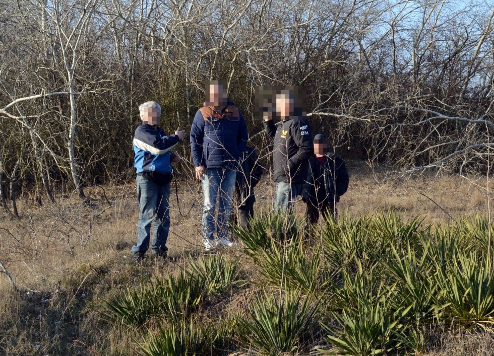 Mégsem baleset, gyilkosság volt
