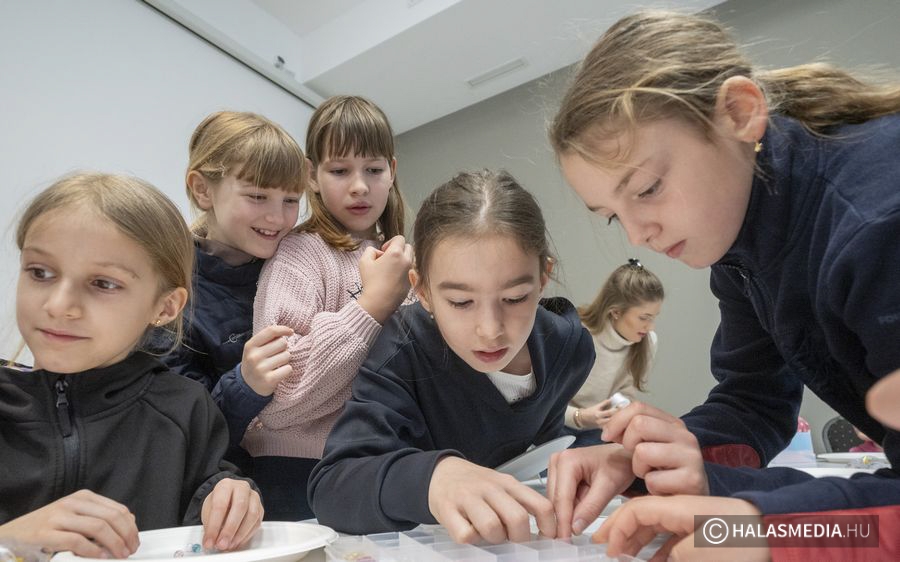 (►) Hercegnőképzés a lovasparkban (galéria)