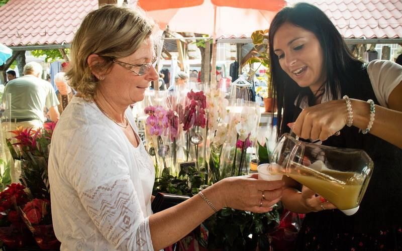 Hangolódjon musttal a szüretre!