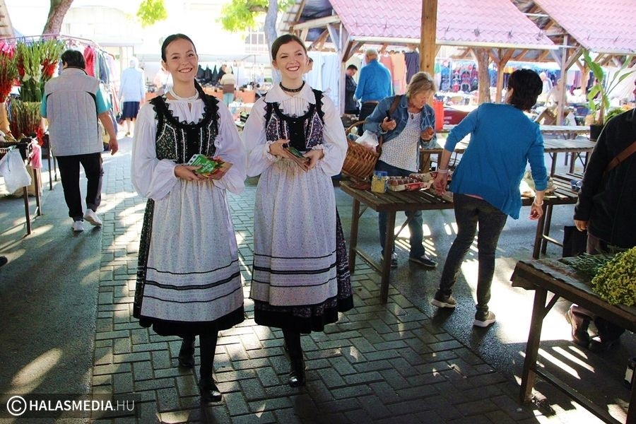 Must és programfüzet - szüreti hívogató lesz szerdán a piacnál