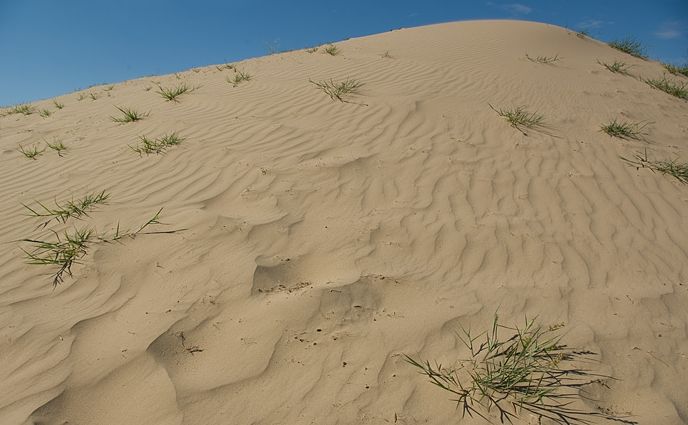 (►)Tényleg elsivatagosodunk?