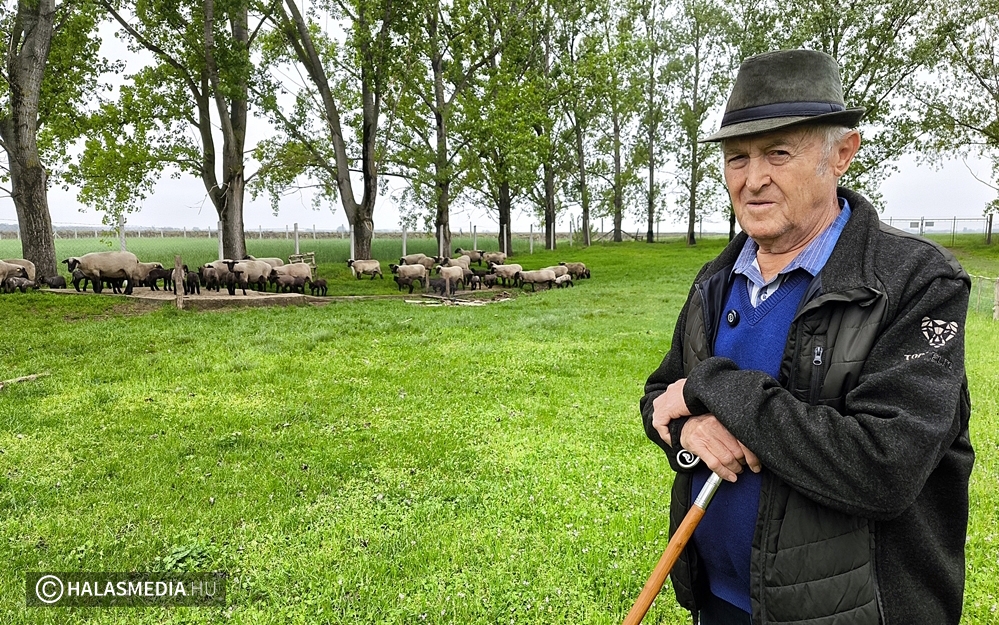 Nemes felajánlás Hudi János díszpolgártól a városnak