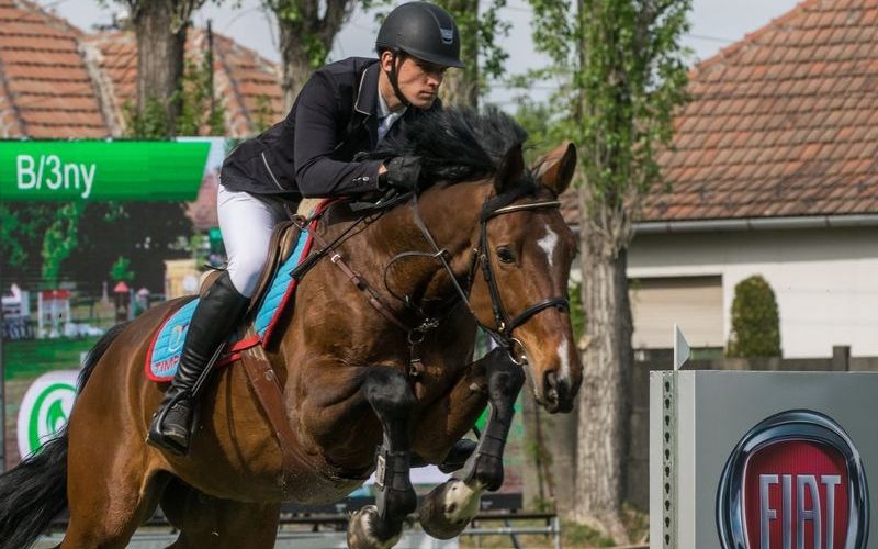 ifj. Szabó Gábor: Fegyenc arany, Font bronz