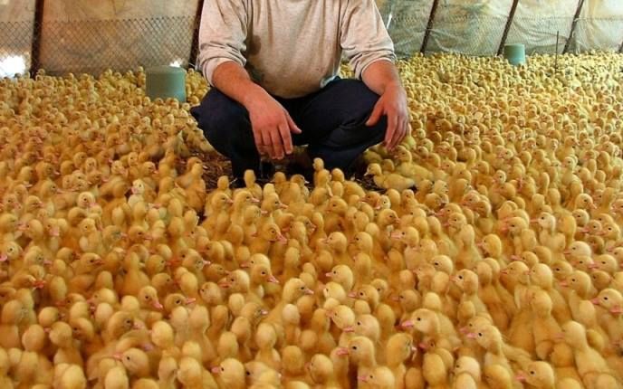 Háziorvosoknál a vakcinák