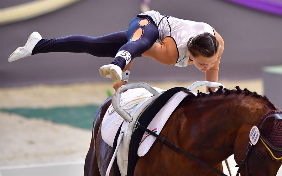 VB-n induló halasi lovastornász