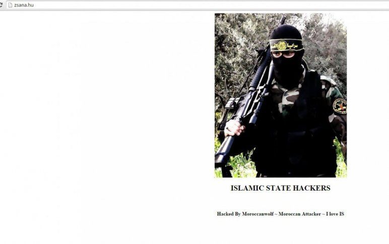 Feltörték Zsana honlapját