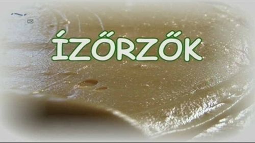 Korai időpontban, de újra ízőrzés Halason
