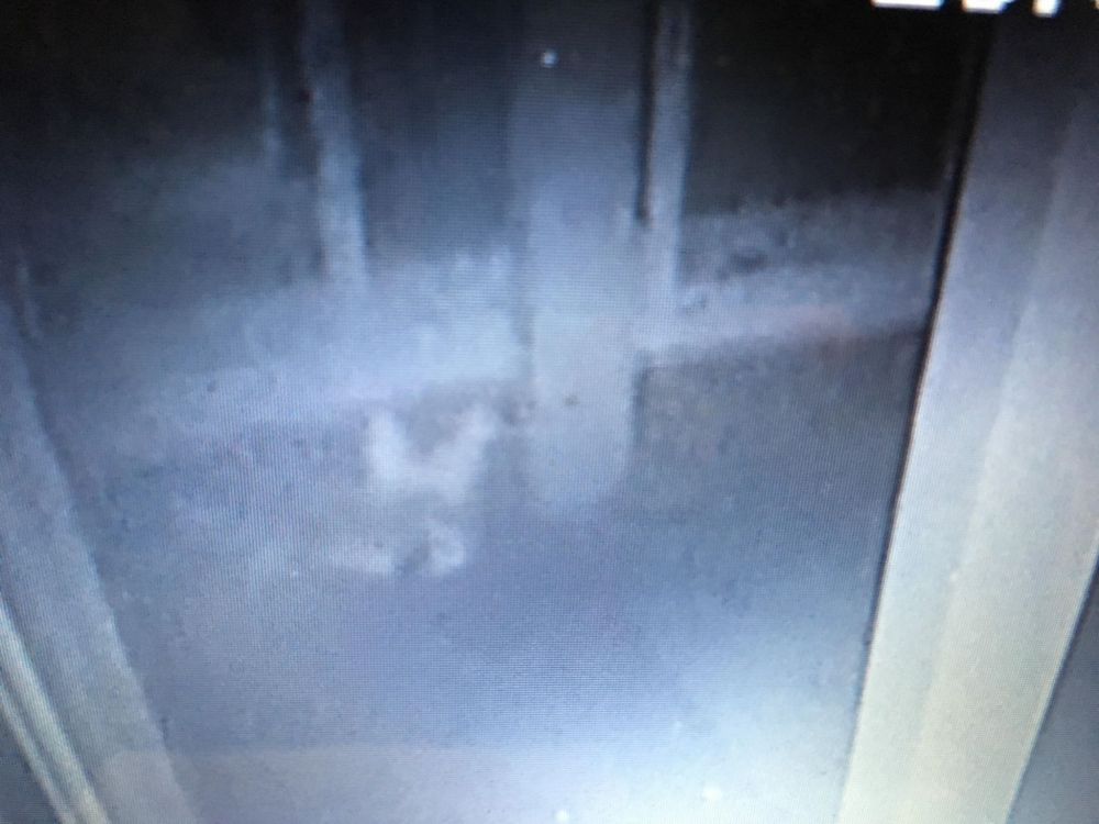 Be akarta törni a kirakatot, kiütötte magát