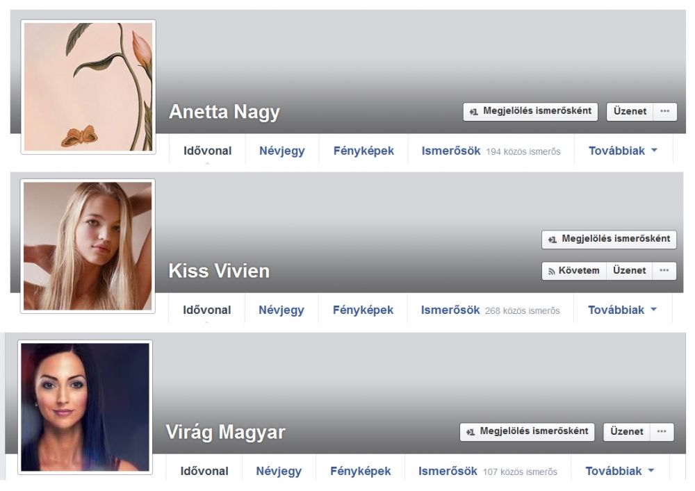 Álprofilok, bűnözők vagy csak marketing?