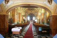Aláírásgyűjtés az embriókísérletek ellen