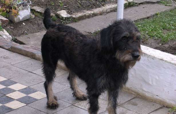 Elmarad a szépségverseny