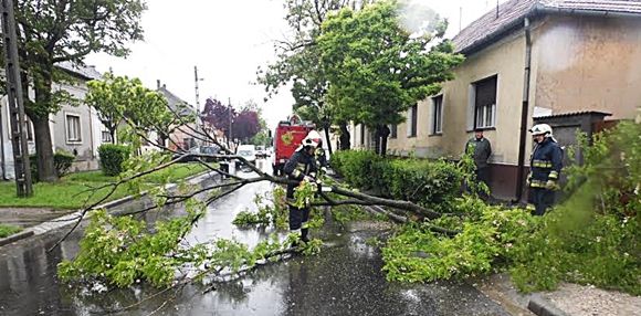 Fákat döntött, ágakat tépett a vihar