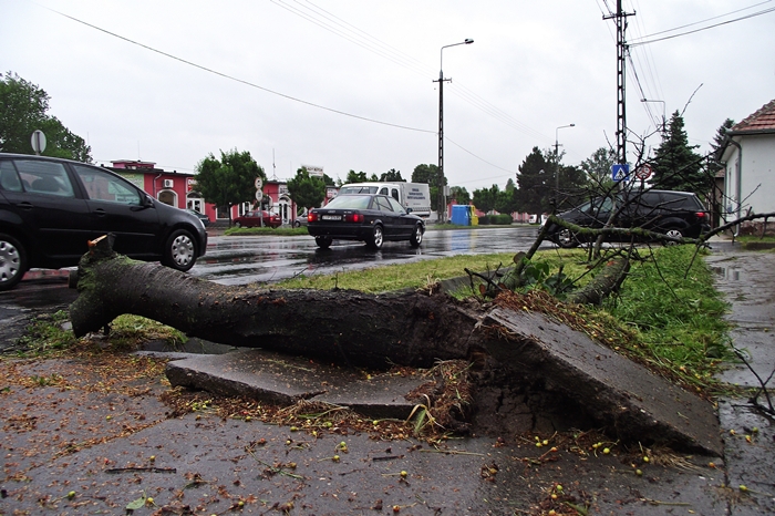 Fákat dönt Yvette Halason (frissítve)