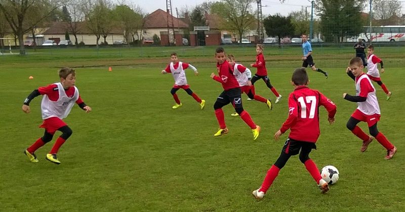 Fiatalság, Kölyökliga!