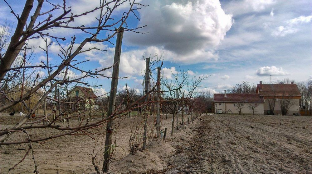 Öné lehet a legszebb