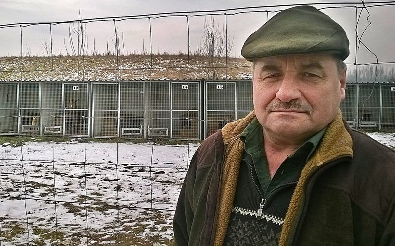 (►) Rács mögött a falka