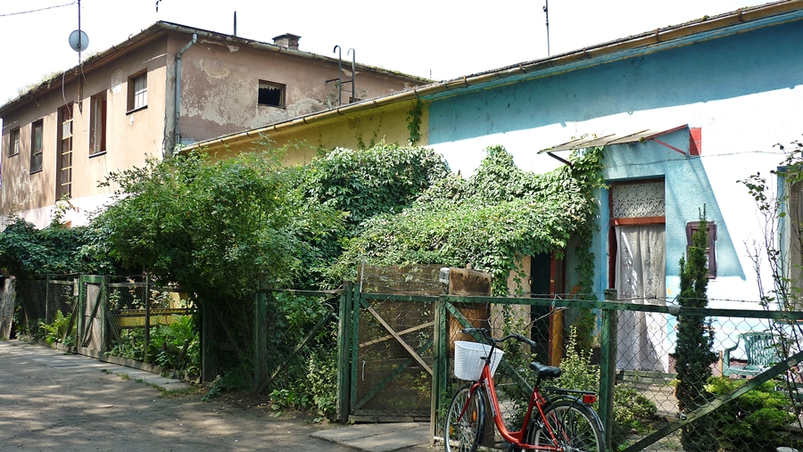 Első körben halasi befektetőt várnak