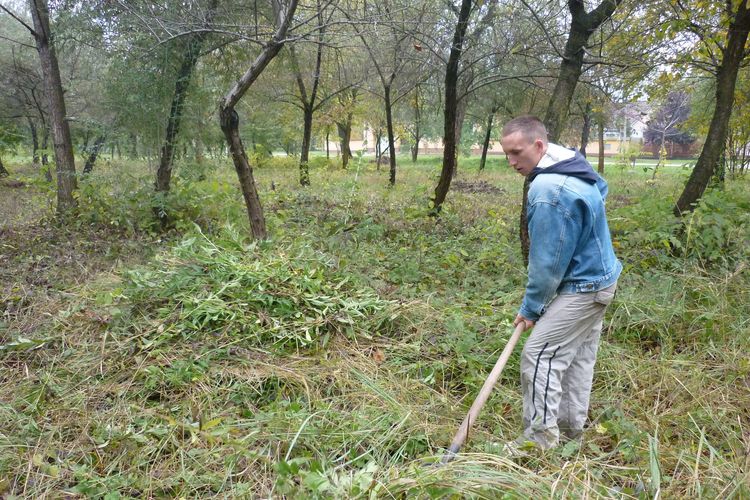Többen is újra jelentkeznek
