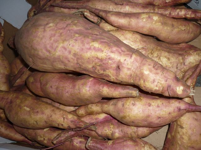 A batáta és a lila a sláger