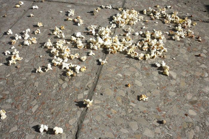 Szétszórt kukorica a főtéren