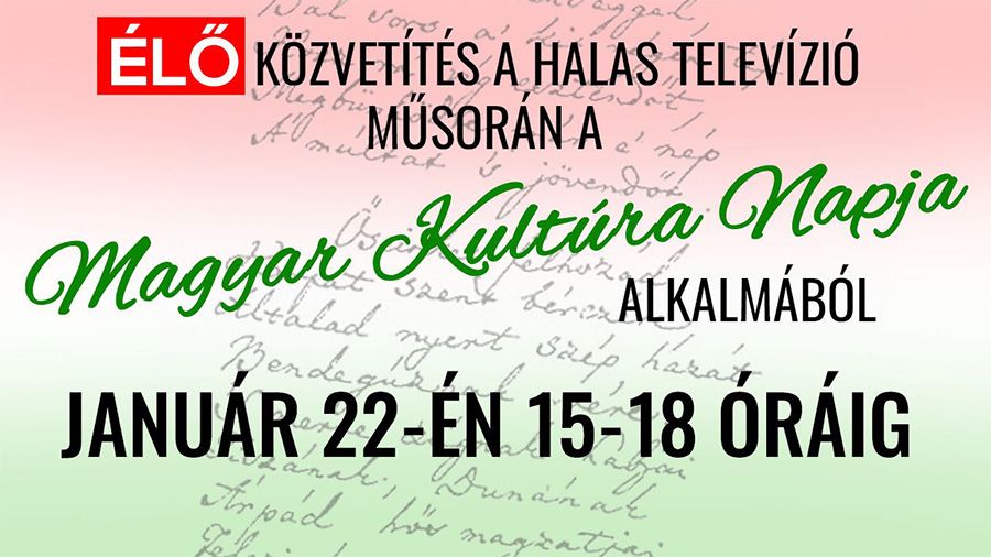 Online kultúra napi programok élőben