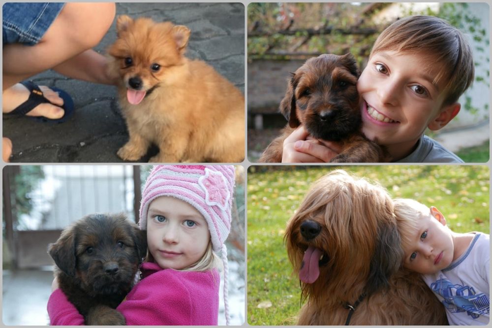 Melyik állatos fotó a legcukibb?