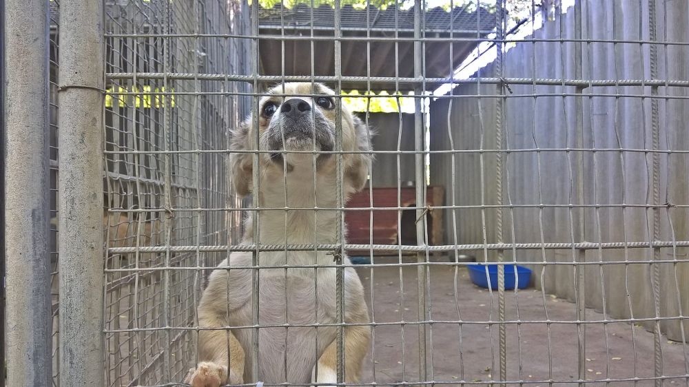 Az Ön segítségére is számítanak