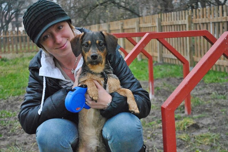 Örülnek a kutyajátszótérnek