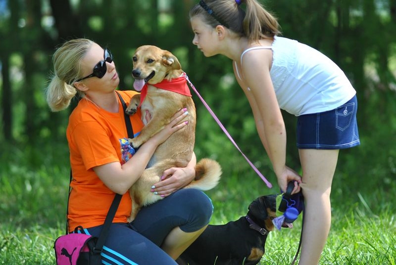 Kutyás nap az állatvédelem jegyében