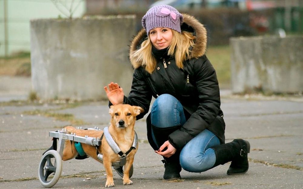 Sikeres ivartalanítási akció