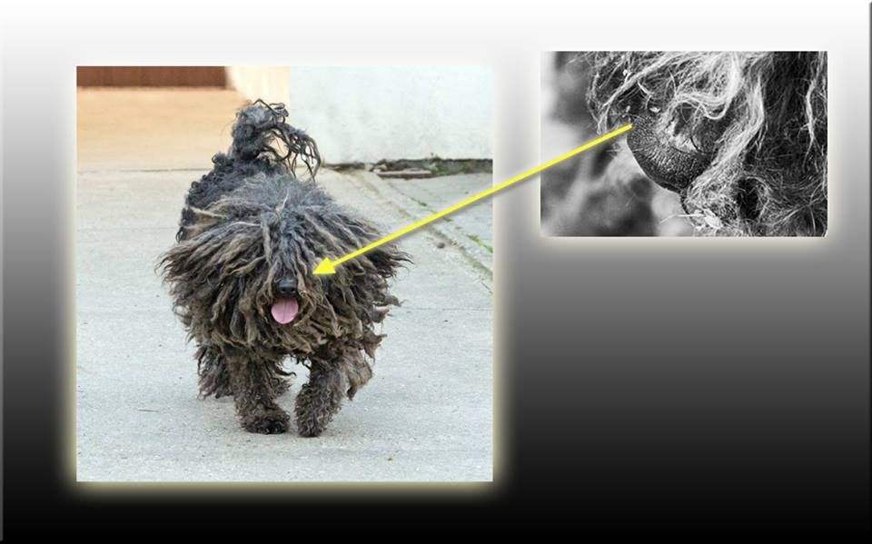 LEZÁRVA (2016.07.06.)