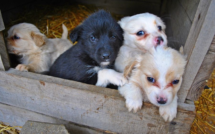 Akár harmincezres bírság is járhat