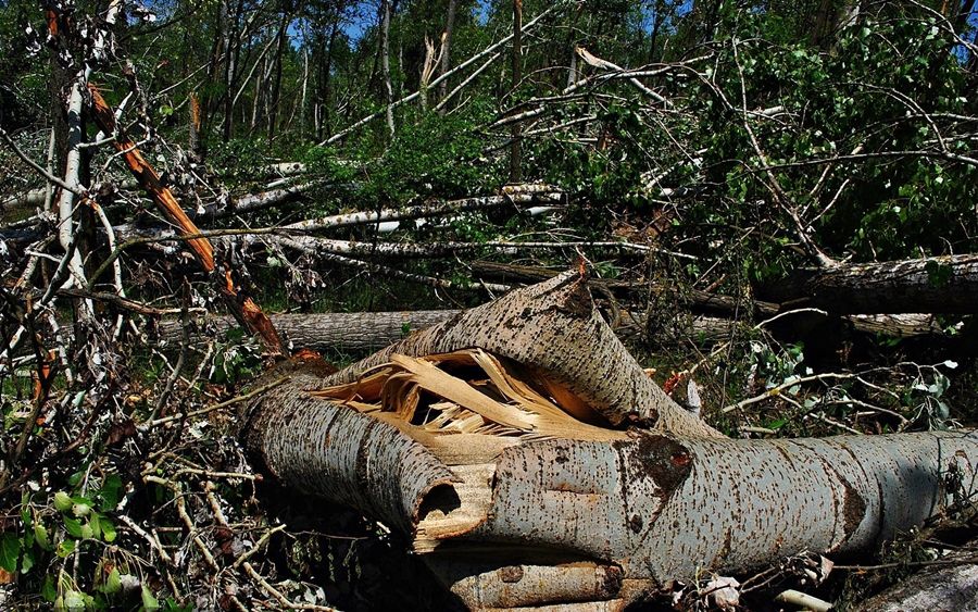 Állami segítséget várnak a viharkárosultak