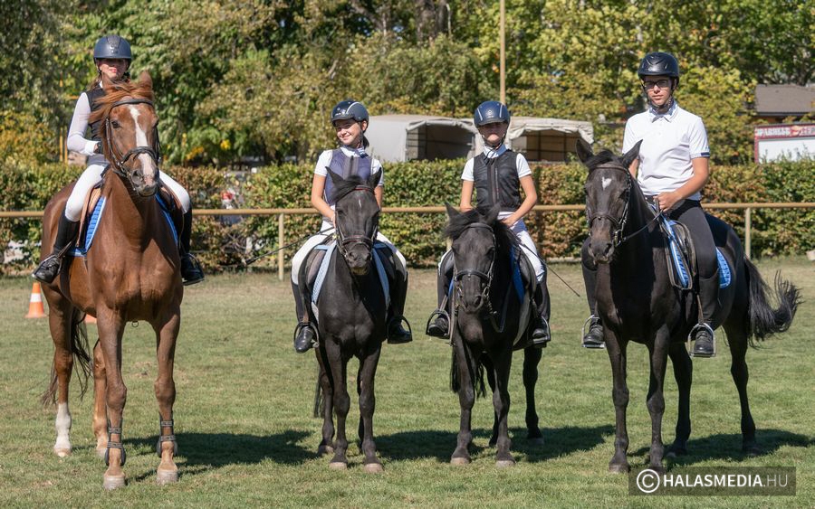 (►) LAUSZ: halasi érmek a regionális döntőn (galéria)