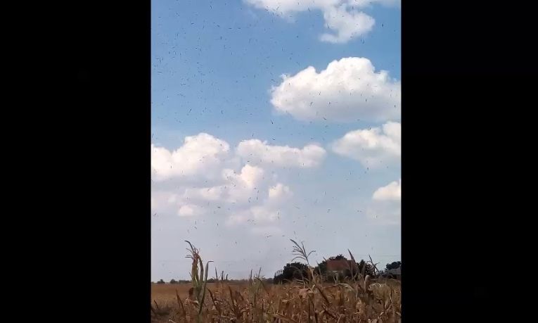 (►) Érdekes légköri jelenség Kisszálláson