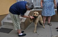 Leó, a kútba dobott kutyus szerető gazdikra talált