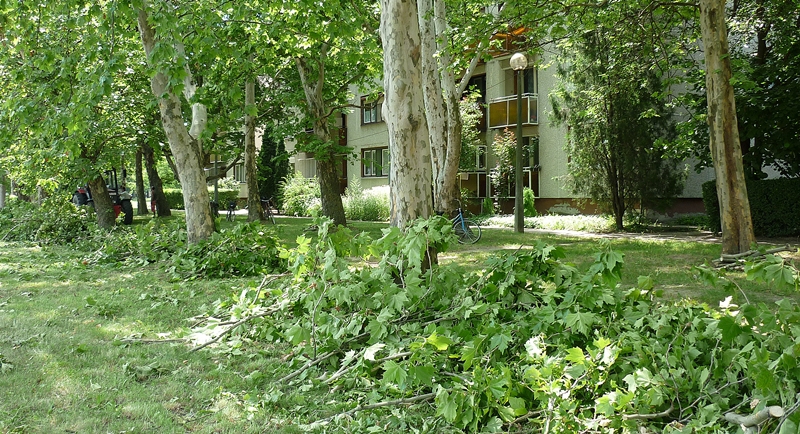 Most a Széchenyin vágtak